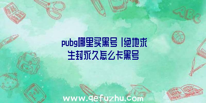 「pubg哪里买黑号」|绝地求生封永久怎么卡黑号